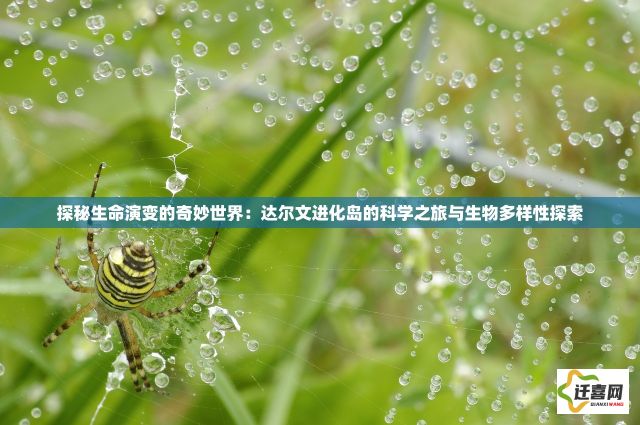 探秘生命演变的奇妙世界：达尔文进化岛的科学之旅与生物多样性探索