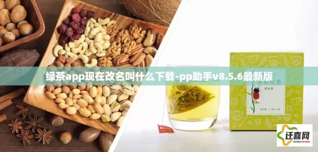 绿茶app现在改名叫什么下载-pp助手v8.5.6最新版