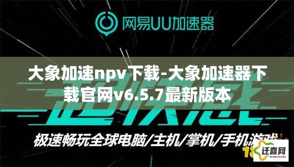 大象加速npv下载-大象加速器下载官网v6.5.7最新版本