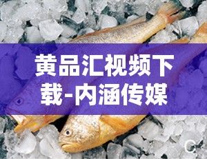 黄品汇视频下载-内涵传媒黄鱼哥v1.9.3最新版