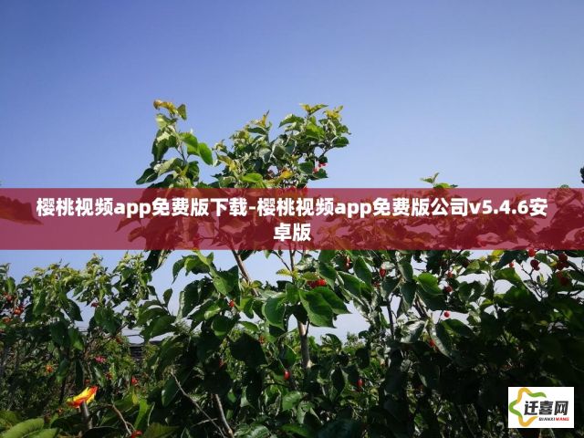 樱桃视频app免费版下载-樱桃视频app免费版公司v5.4.6安卓版