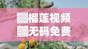 ▓榴莲视频▓无码免费官网下载-榴莲树v8.9.8官方安卓版