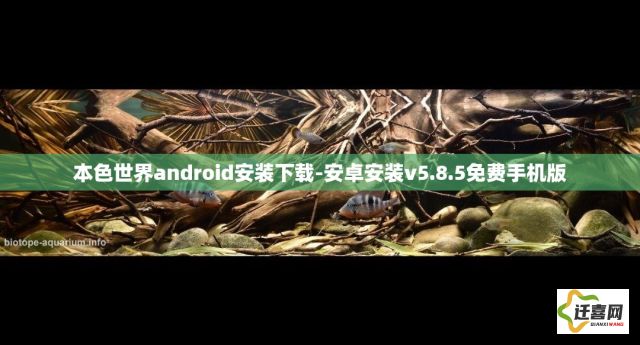 本色世界android安装下载-安卓安装v5.8.5免费手机版