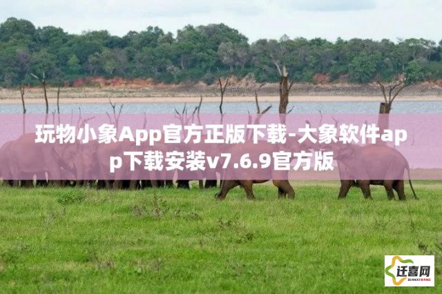 玩物小象App官方正版下载-大象软件app下载安装v7.6.9官方版